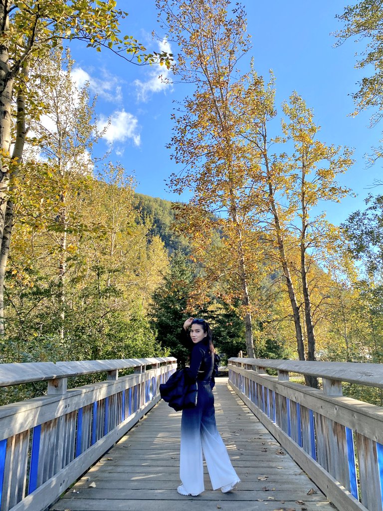 roclinroll's tweet photo. Another Nature's little secret of joy, discovered. 💛✨ #PullenCreek #Streamwalk #Skagway https://t.co/X0iTHYWydt