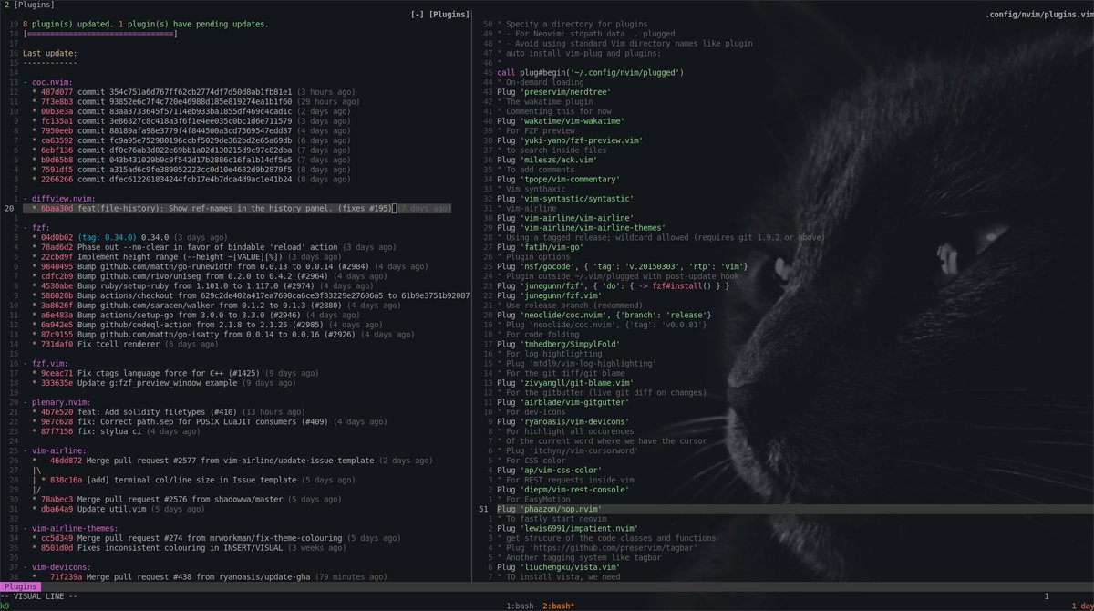 D4rk3r Sanixdarker Twitter