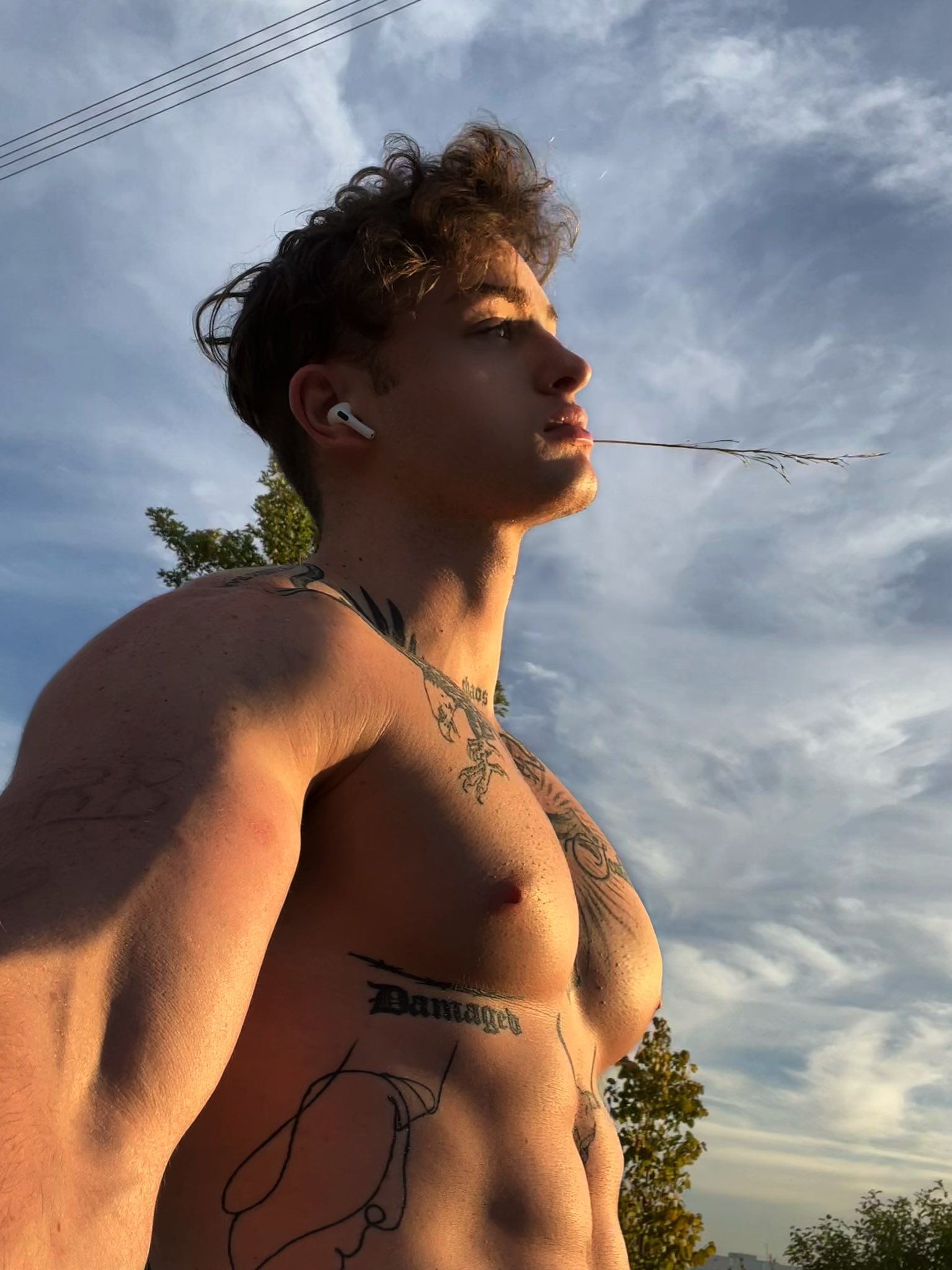 Christian Renaud 😈 on X: Estaré siguiendo a los primeros 1000 que me  sigan en insta  Christianrenaudn t.cobyf27iNeQQ  X