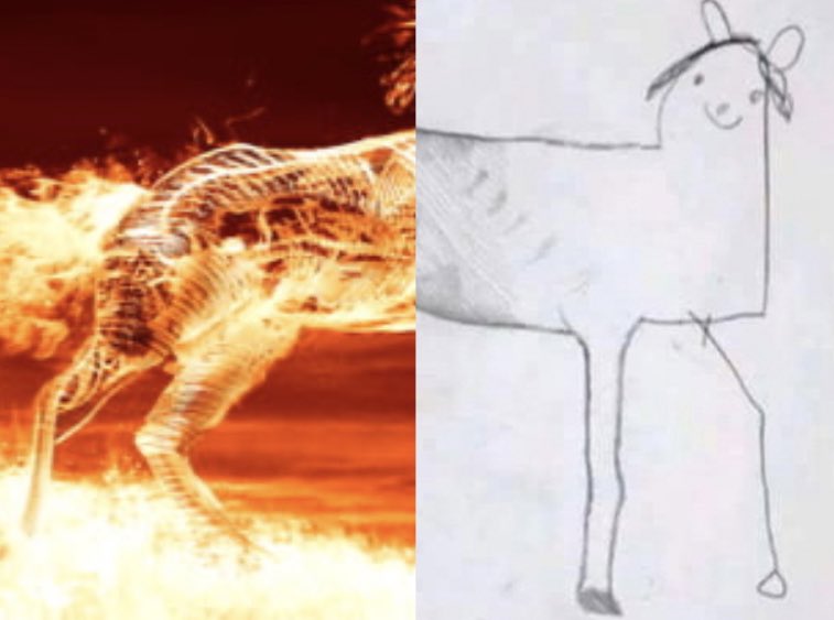 AdamAndrewsPro's tweet image. FTRs 2022