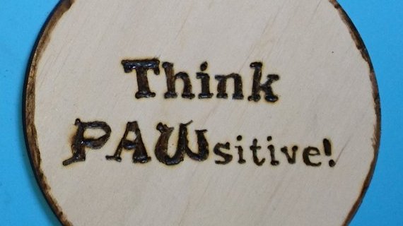 AstropuppyLuna's tweet photo. Me advice fo the weekend &amp; LIFE !!!
#dogsoftwitter #ThinkPawsitive #lifelessons ( Thanks again @only1iswanderer 🥰🐾 https://t.co/sOWD02kQ8Q