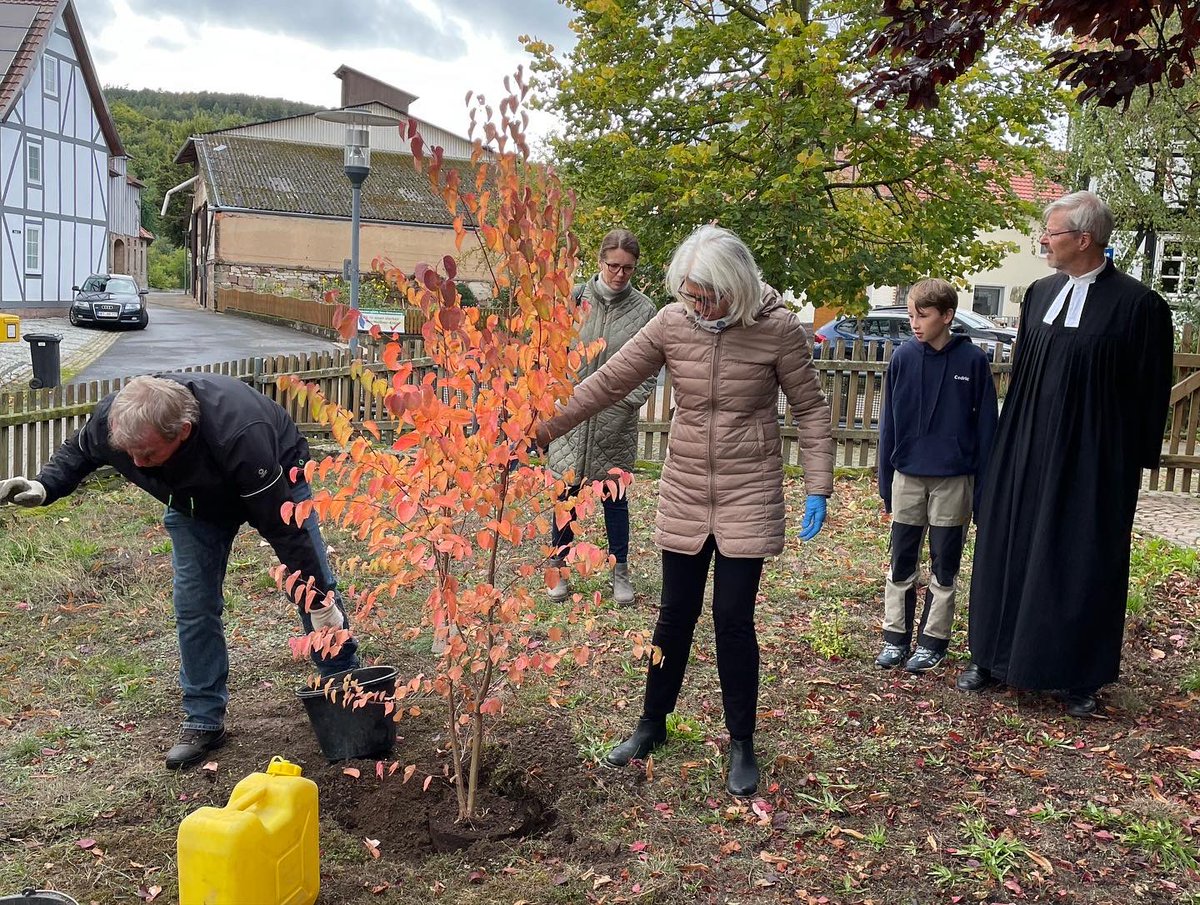 AvB_NEB's tweet photo. Erntedankgottesdienst 2022 in Berge. Einen Baum und einen Strauch wurden gepflanzt. Danke KV Berge für die Initiative und Vorbereitung. Kaffee und Kuchen. Danke Pfr. Neie-Marwede #erntedank #kirche #baum #strauch #kaffee #kuchen #neueichenberg #alexandrafreiinvonbischoffshausen https://t.co/06xVkkHcTx