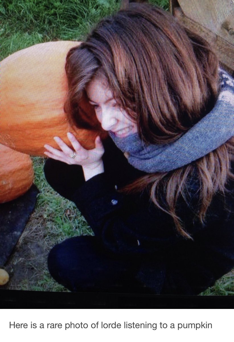 danidonovan's tweet photo. i heard there was a secret gourd that david played and it pleased the Lorde https://t.co/x6GpScNsV9