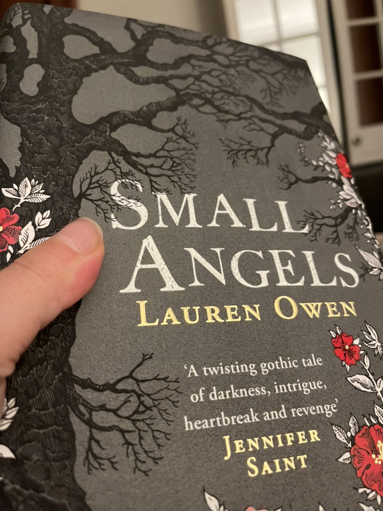 bookbound2019's tweet photo. Gothic October reads start here…
#SmallAngels @pioneers_o @TinderPress https://t.co/d97zA9LwtI