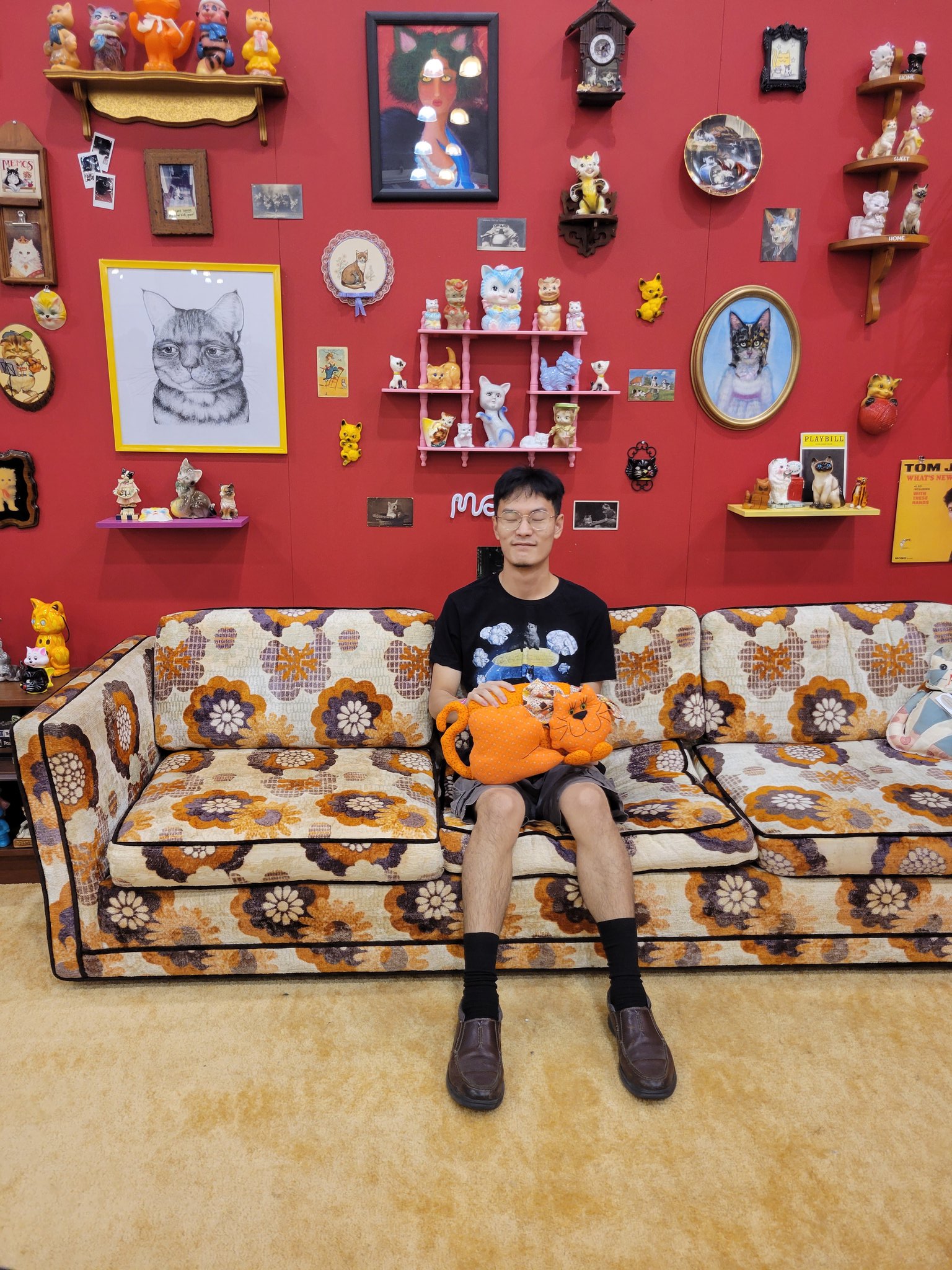 Explore Vietnam'S Feline Friends - iq1wjuu
