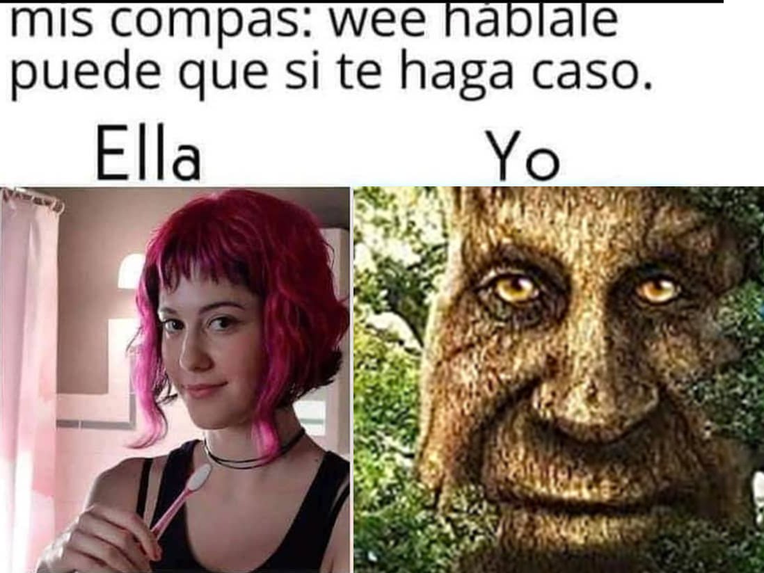 VillaHuevoStonk's tweet photo. El árbol este me representa https://t.co/NmjkhI3rYB