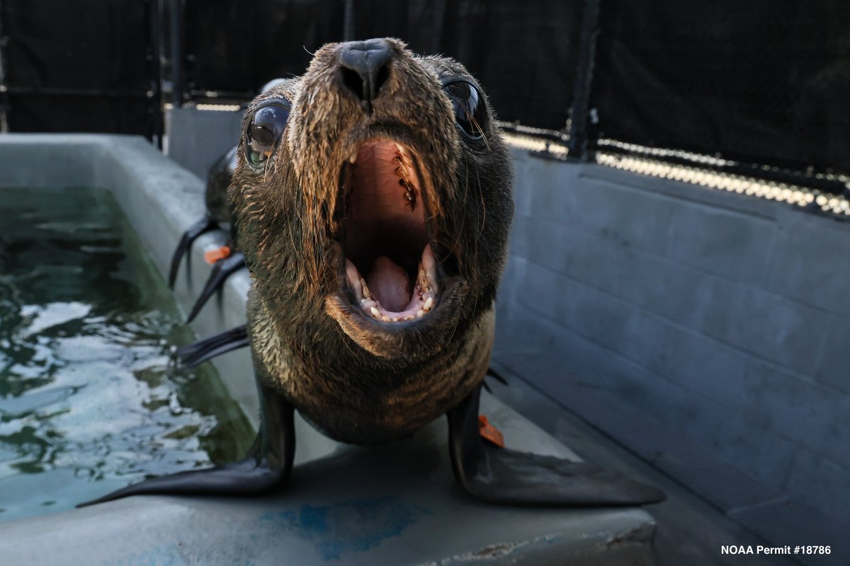 Nobody:
Absolutely no one:
Me: IT'S SPOOKY SEASON 😱🎃🦇