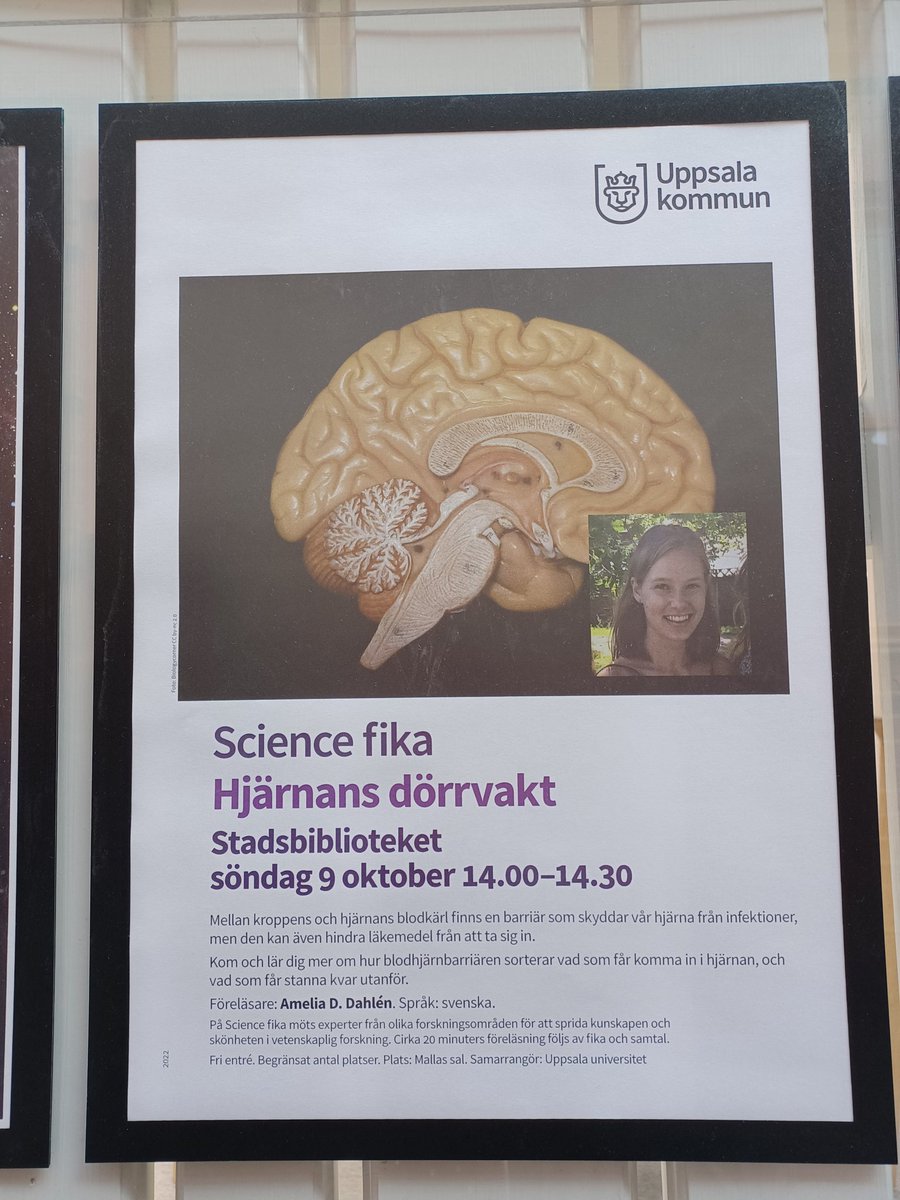 Amazing initiative for public science communication in the heart of Uppsala...accompanied by fika!🥯☕️

Don't miss next week's talk on the brain's sleepless guard!
Missa inte nästa veckas #sciencefika om hjärnans dörrvakt!

🏛 Uppsala stadsbibliotek
🗓 9:e Oktober
🕑 14.00