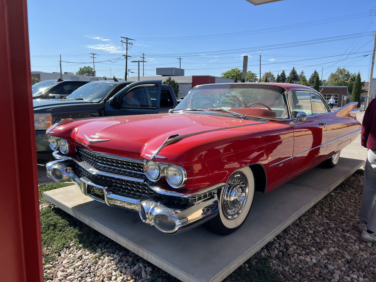 sharena ali tweet media