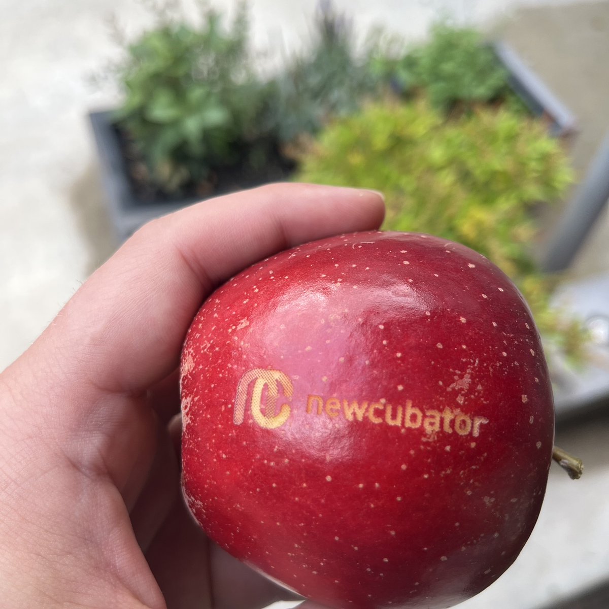 Jan Sauer tweet media