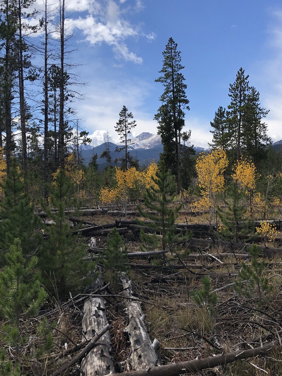 @DSchatteMD tweet media