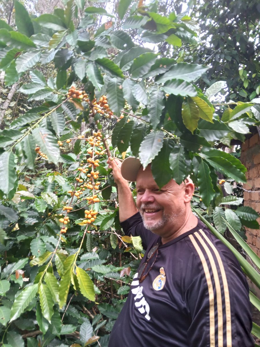 Jdm749610's tweet photo. @celsof64 @FEDEAGRODIGITAL Feliz día caficultores https://t.co/OrGhIpERqU