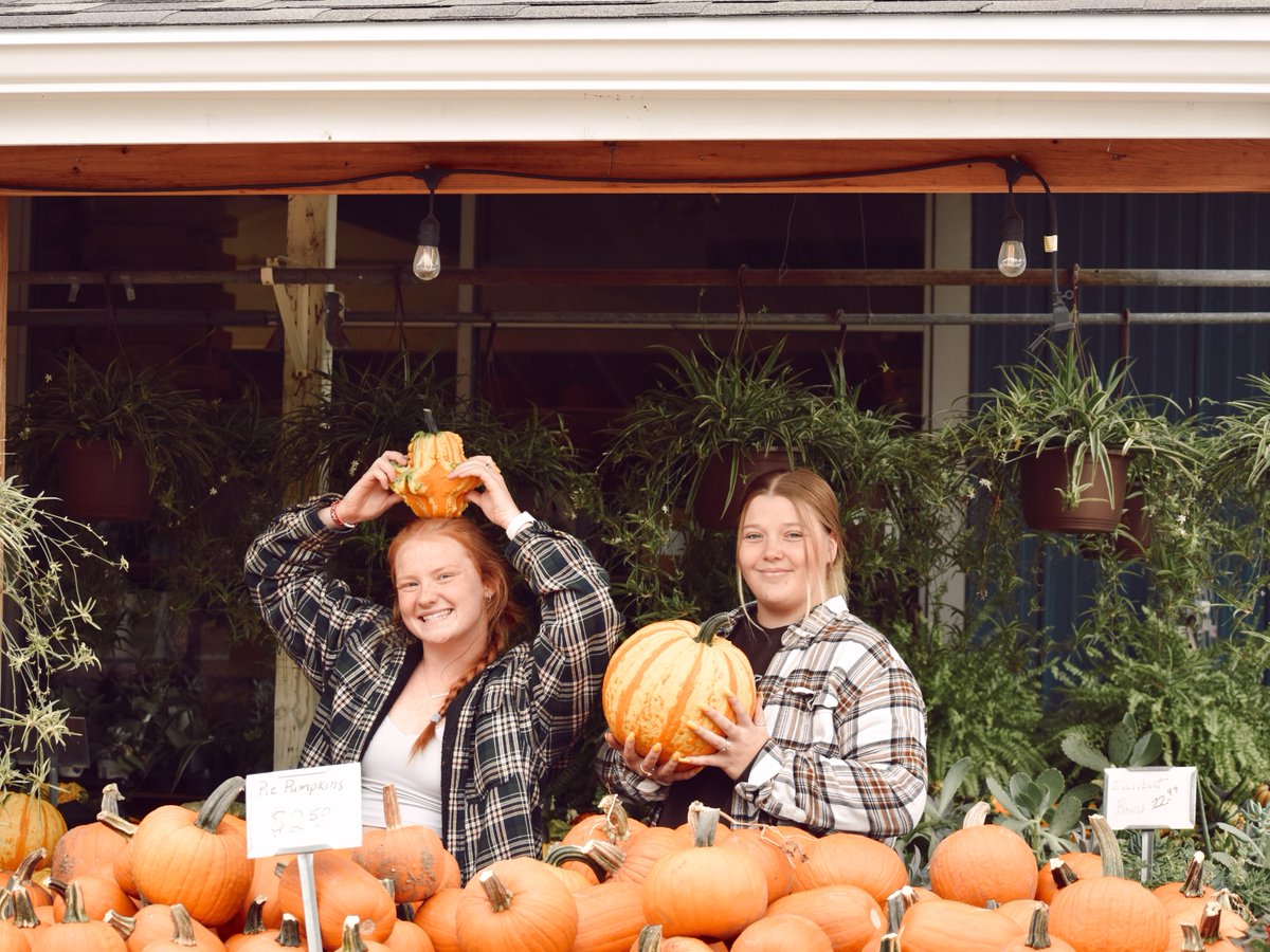 BluejayLife tweet media