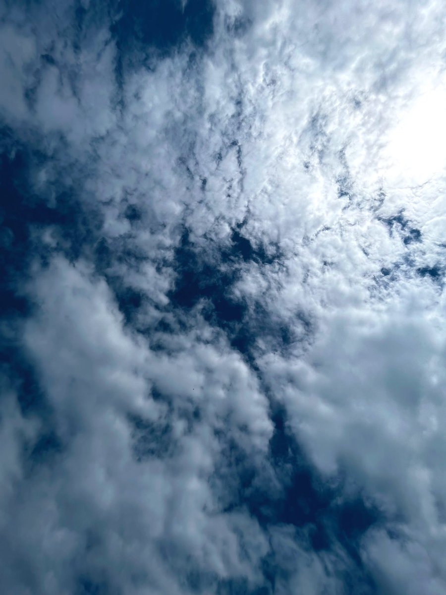 RomanCambell's tweet photo. Take a moment to look up and breathe #AnxietyTips #Peace #Namaste https://t.co/eaBVzq33bR