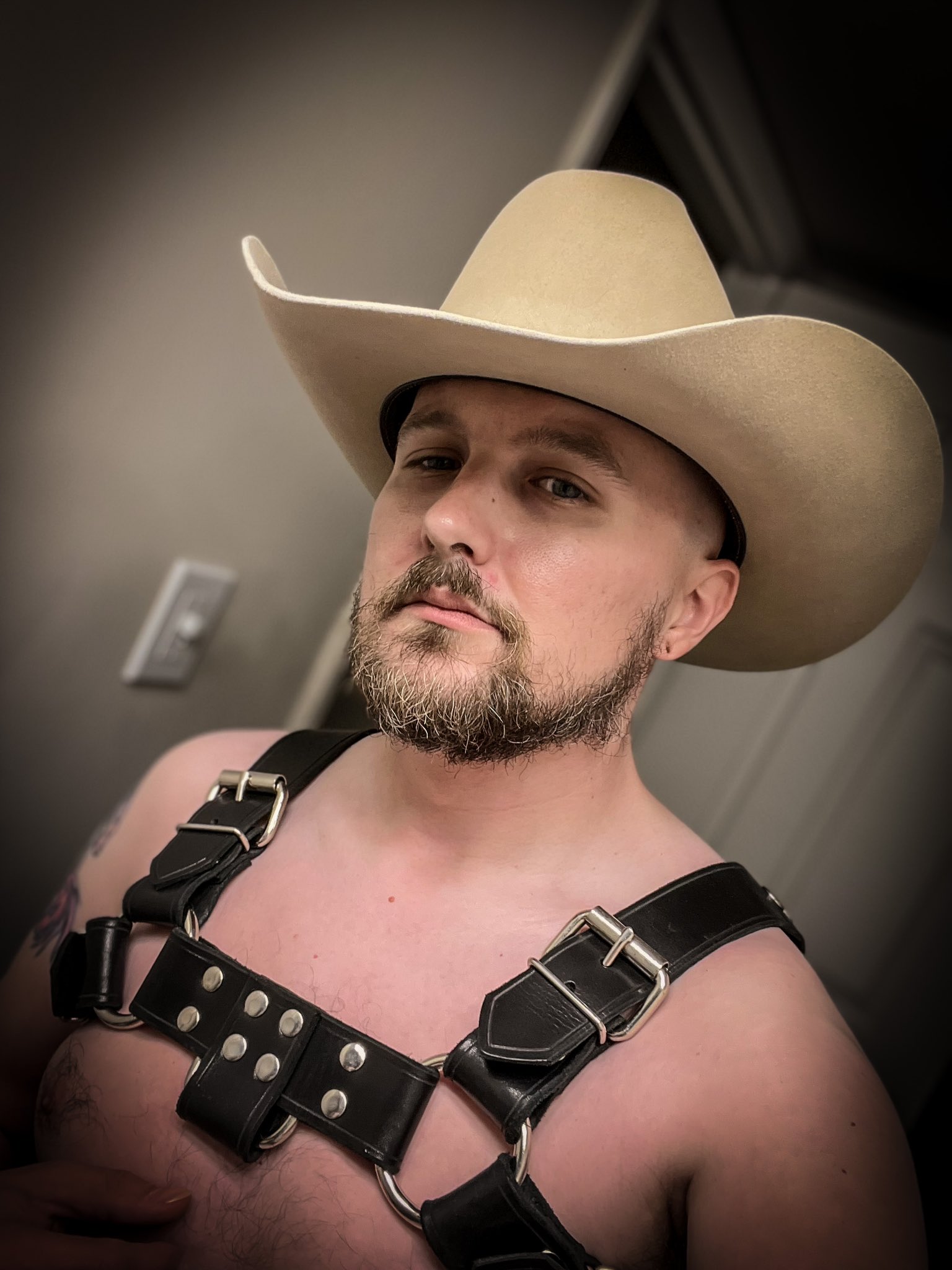 Refuge In The South: A Cowboy'S Love - wz3z6sk