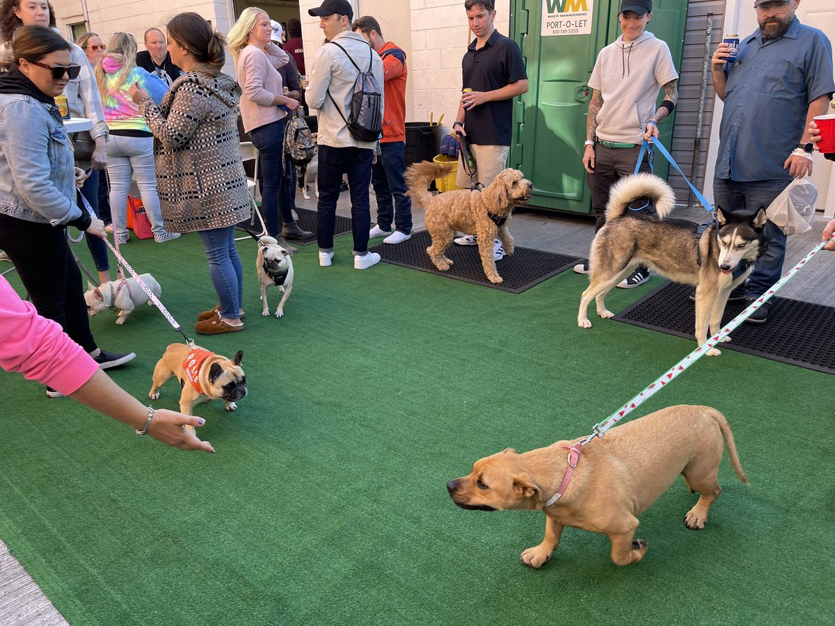 Jon Belonio tweet media