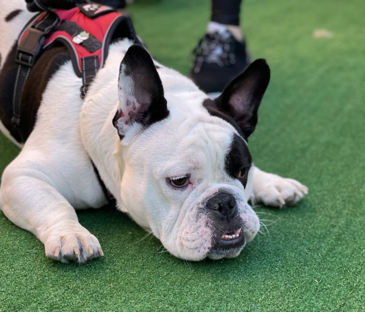 Jon Belonio tweet media