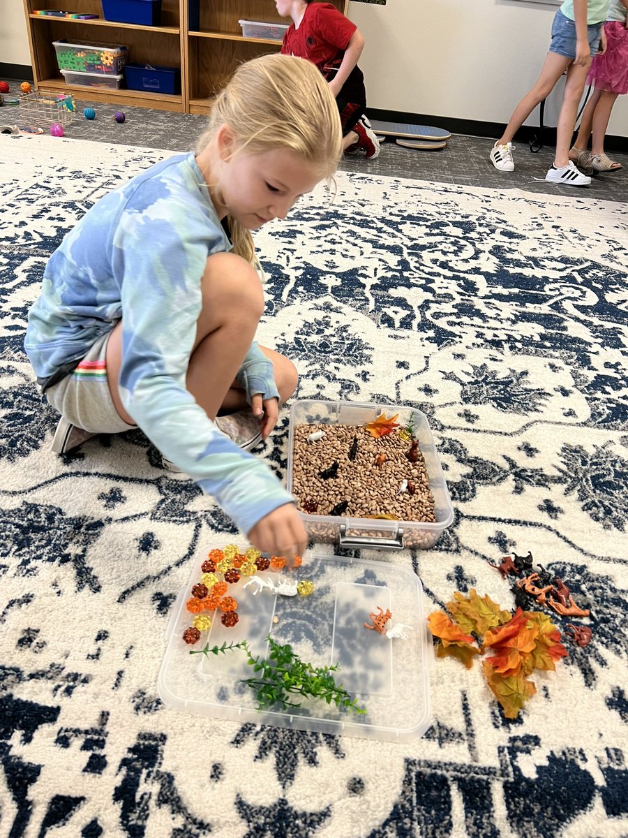 Lisa Jones tweet media