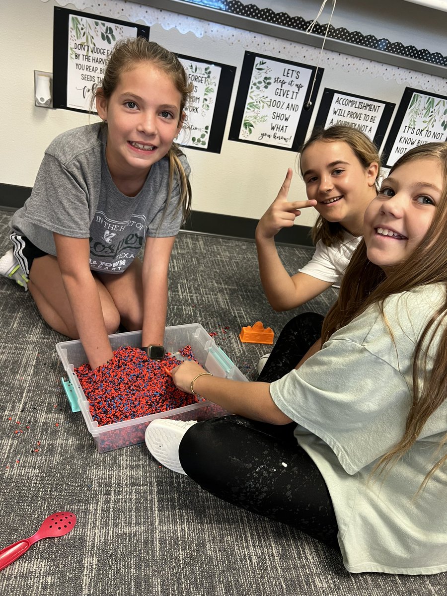 Lisa Jones tweet media