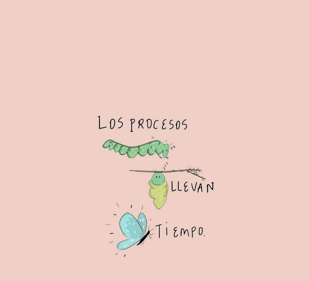 AquiLoLei's tweet photo. Tiempo al tiempo🌱 https://t.co/0DA4I1xTho