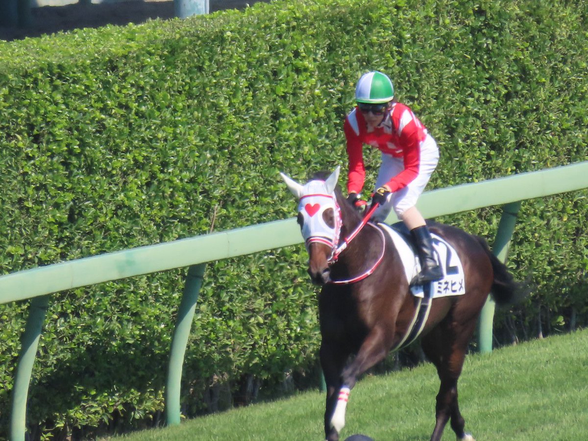 シアトルブリッジの新井昭二牧場生産馬か。中央での新馬勝ちとなるとホウショウナウ以来になるのかな。