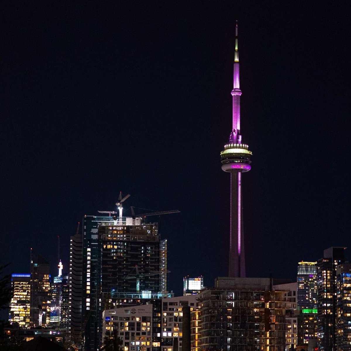 CIBC Run for the Cure Toronto (@torontorun) on Twitter photo Look up, Toronto! The <a href="/cntower/">Phil sagar</a> lit up pink tonight in honour of the #cibcrunforthecure tomorrow morning! If you’re out and about, take a photo and tag us @runforthecure_toronto! #torontorftc #runforthecuretoronto #thinkpink Look up, Toronto! The <a href="/cntower/">Phil sagar</a> lit up pink tonight in honour of the #cibcrunforthecure tomorrow morning! If you’re out and about, take a photo and tag us @runforthecure_toronto! #torontorftc #runforthecuretoronto #thinkpink
