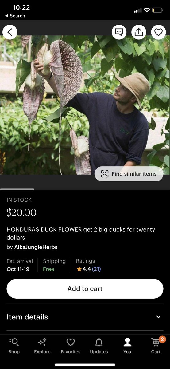 alkajungleherbs's tweet photo. ✨Link in bio✨ #drsebi #seamoss #body #bodycare #clean #acne #energy #guthealth #alkaline #vegan #honduras #etsy #sebi #natural #health #energy #healing #etsy #smallbusiness #duckflower #clean https://t.co/gS44rUEaGM