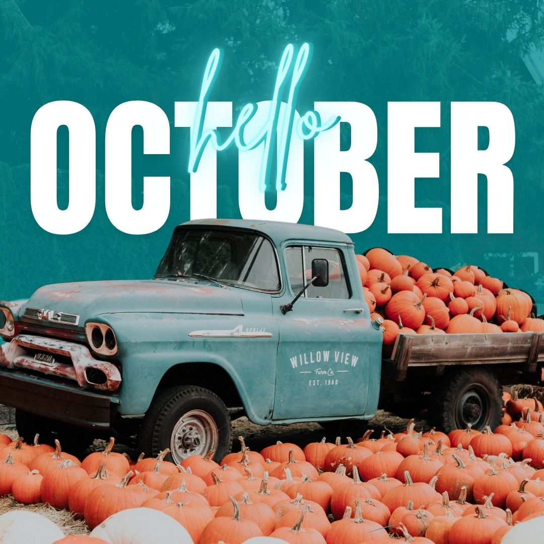 Happy October! If you already have plans to take selfies in a 🎃🍂pumpkin patch this month let us know! Should we add a pumpkin experience for some "fall fun" pics?! 
Let us know in the comments! #fall #happyfallyall #sweatherweather #pumpkinpatch #fall2022 #fallselfies