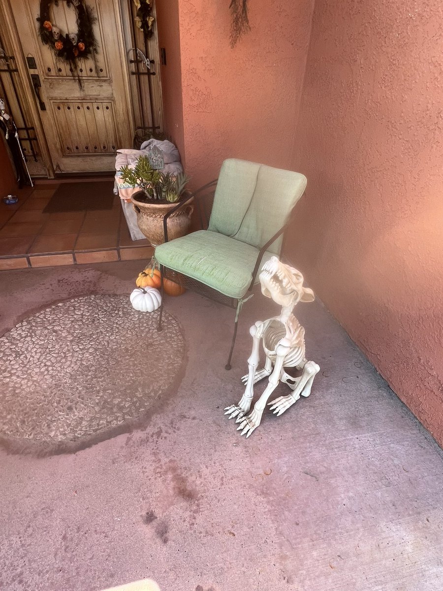 Today is October 1st! We’re decorating!!