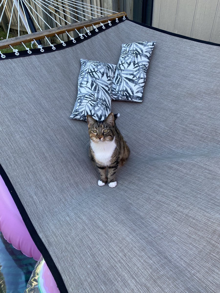 Suzanne Webster tweet media