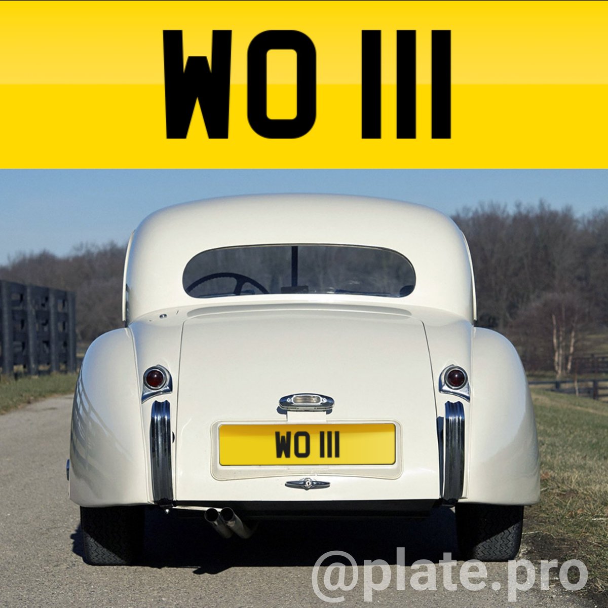 plate_pro tweet picture