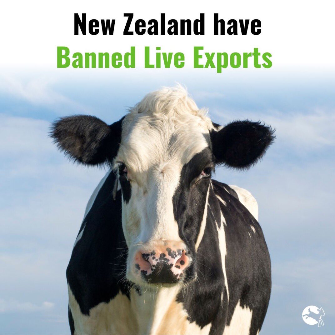 WildSoulsNFT's tweet photo. Best news of the weekendโฃ๏ธ
BREAKING: #NewZealand 's Bill to Ban #LiveExports has been signed into law! ๐๐ผ๐๐ผ๐๐ผ๐๐ผ๐๐ผ #compassioninworldfarming #NFTForgood #NFTCommunities #NFTCommunity https://t.co/aJBGYsXwol