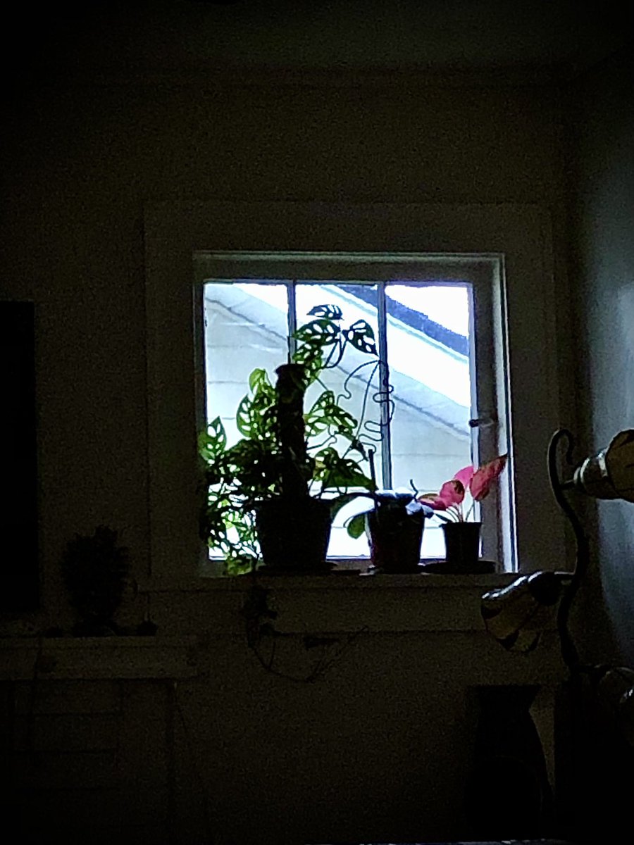sayspauld's tweet photo. windows https://t.co/wdL5zNwbIs