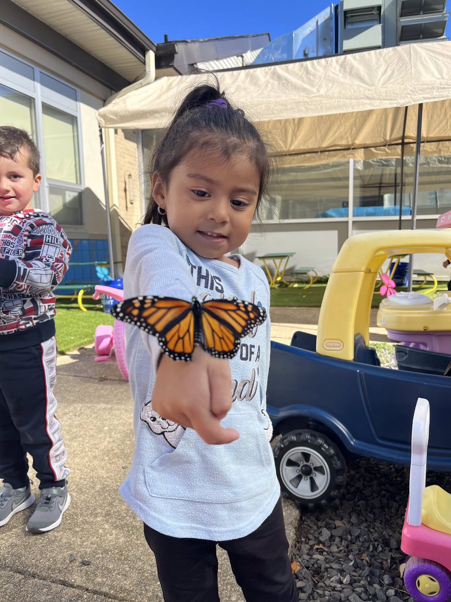 PrincipalMESEPS's tweet photo. Courtyard caterpillars gave our preschool a big surprise. @EatontownSuper #spreadyourwings #lovescience https://t.co/95uNcZ4XYU