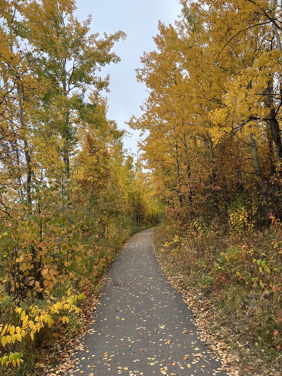The beauty of fall. 🧡💛 <a href="/ElkIslandNP/">Elk Island National Park, Parks Canada</a>