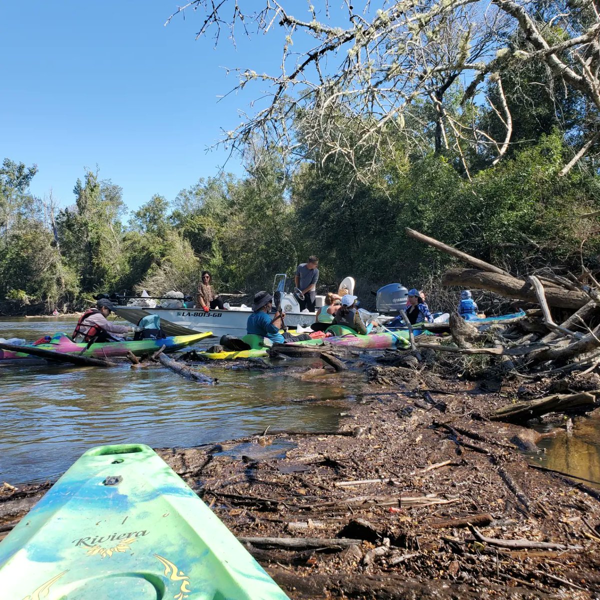 laspongehunters's tweet photo. Water is extremely low, so our collections are extremely high! We partnered with the Pearl River Clean Sweep to help with trash collection while sampling sponges! Looking forward to seeing many of you at the sponge conference! #spongeresearch #spongehunters https://t.co/acCeeZZw76