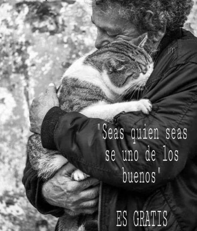 CBALloseta's tweet photo. https://t.co/ZO6f9p58OG