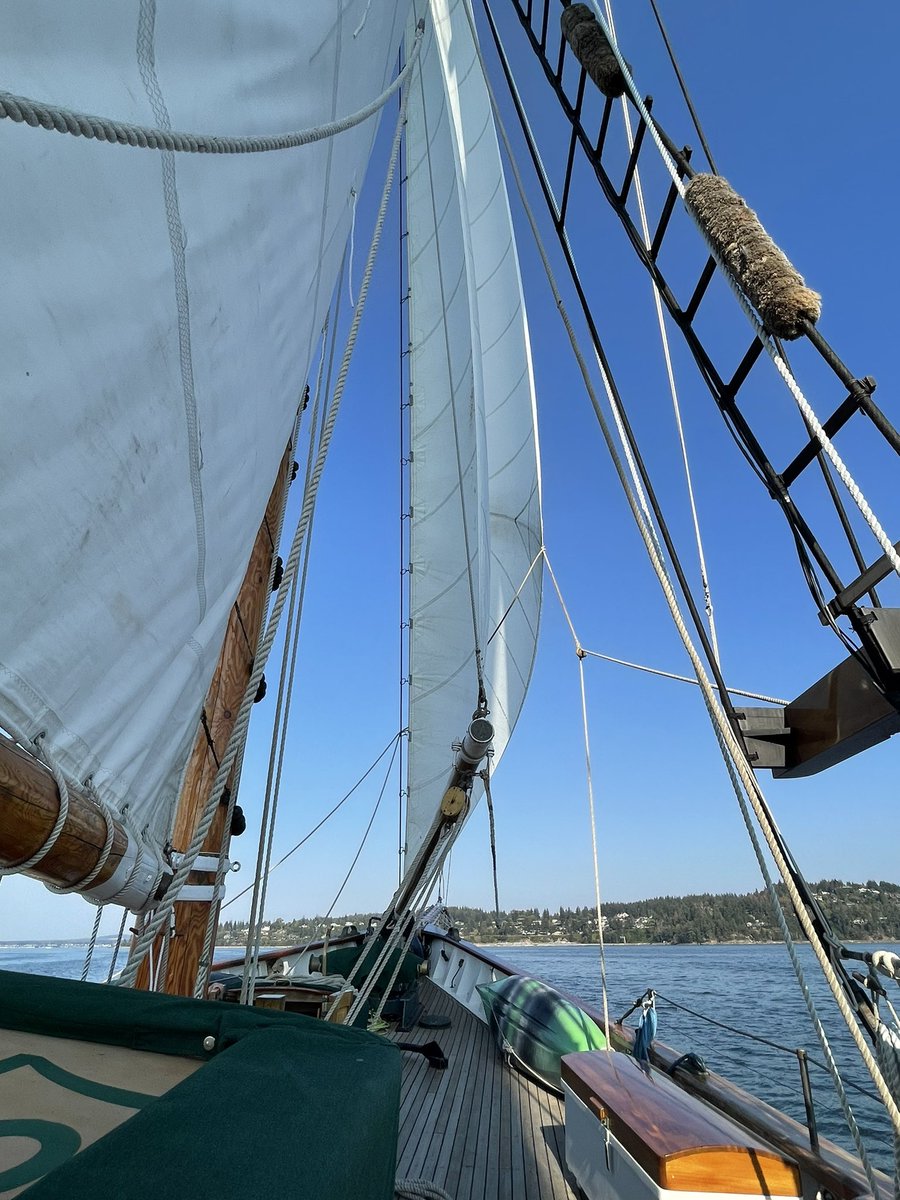 MinusWells's tweet photo. It’s a beautiful day to be alive 🔥 

Sailing a small Schooner in Bellingham Bay ⛵️ https://t.co/sRBssADaz9