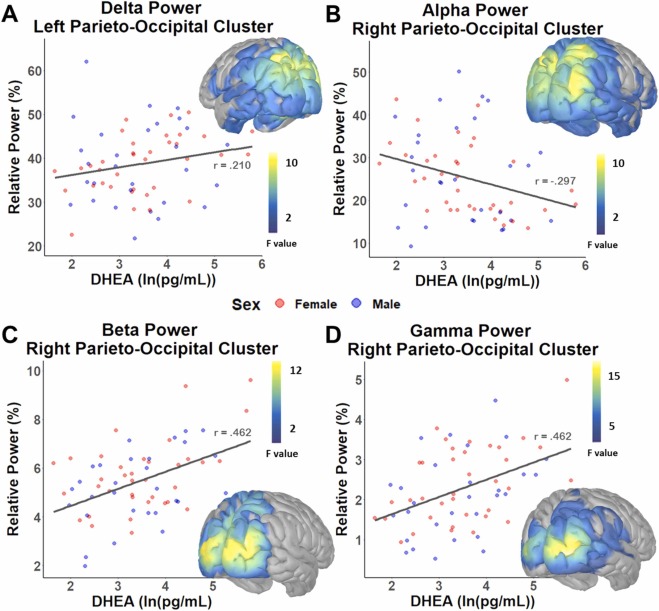 GiorgiaPicci1's tweet photo. Fantastic new MEG study from the @DiconLab led by the very talented @PenhaleSamantha mapping associations between DHEA and resting-state cortical activity in adolescents! Featured in the new DCN special issue: Puberty &amp; the Adolescent Brain

https://t.co/xhgfGXKMvG https://t.co/RxFpTFRwTd