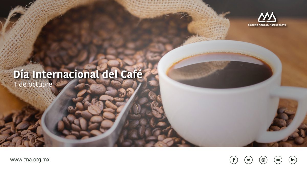 CNAgropecuario's tweet photo. El café es la segunda bebida que más se consume en nuestro planeta. #DíaInternacionalDelCafé ☕ https://t.co/Kh2VQ24XuW