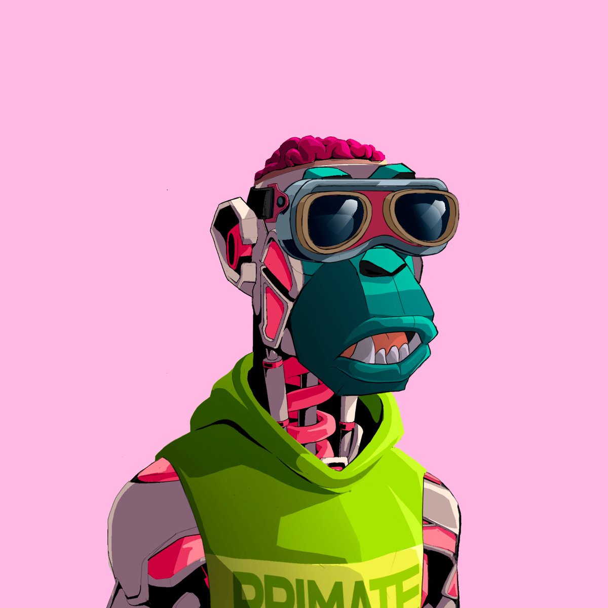 LoguyaCapital's tweet photo. Just picked up this @Primatesnft

First NFT on SOL🔥

Love the art https://t.co/MXGM7XP2kZ