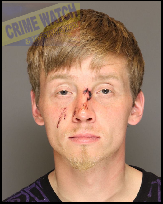 1/
Another one for the never-ending record books of irresponsibility of @MNcourts.

James Lee Norgaard, 10/31/1991, of St. Paul, newly charged with auto theft, fleeing, and damage to property, all felonies, and GM criminal vehicular operation/bodily harm.