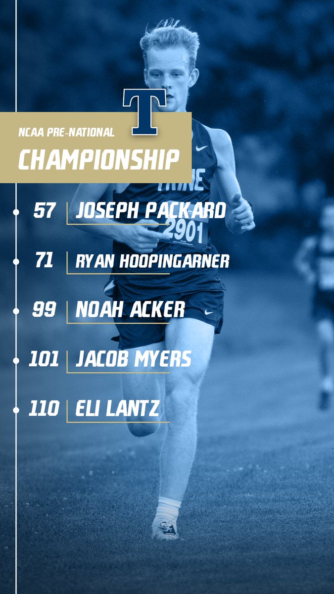 Trine Thunder tweet media