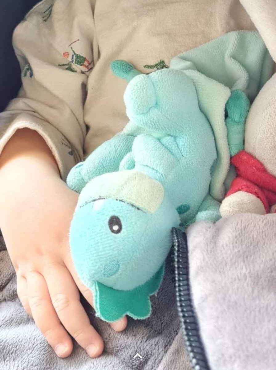 Perdí este peluche de mi hijo el 30 de septiembre por la mañana por el centro de Oviedo (plaza del carbayon-dr casal-uria) os ruego difusión, gracias :)