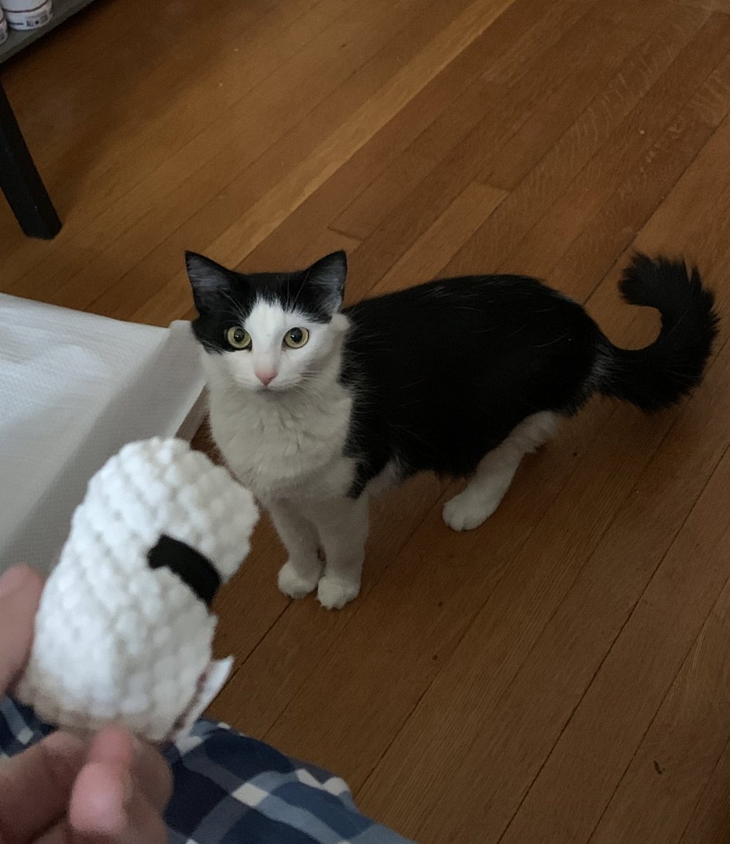 𝓙𝓲𝓵𝓵🩵 (@certifiedfemcat) / Posts / X