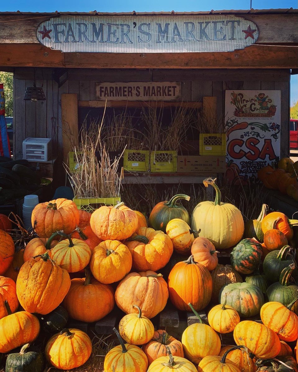 888She's tweet photo. #fall 🧡🤎 https://t.co/QNCYoaKnT8