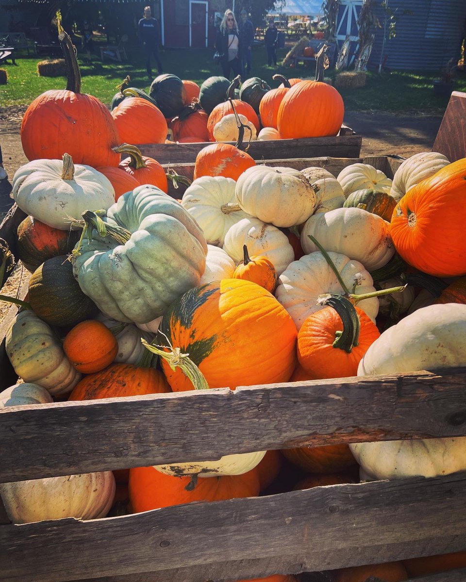 888She's tweet photo. #fall 🧡🤎 https://t.co/QNCYoaKnT8