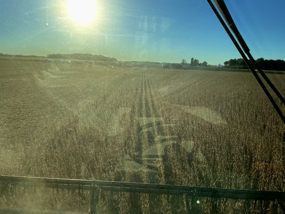 John Schoenhals (@thejoscho) on Twitter photo Clean fields, great yields, blue sky, Plenish premiums…<a href="/PioneerSeeds/">Pioneer Seeds U.S.</a> ordering this on repeat! Clean fields, great yields, blue sky, Plenish premiums…<a href="/PioneerSeeds/">Pioneer Seeds U.S.</a> ordering this on repeat!