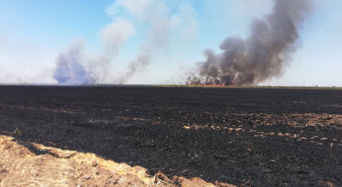 🚫🔥 Al quemar los rastrojos empobrecemos nuestros suelos, a medida que lo vayamos integrando, mejoraremos la calidad del terreno.

Más información aquí:
➡️ bit.ly/3ClcETH

#SinaloaNoQuema
#EnSinaloaElRastrojoVale
<a href="/sinaloagobmx/">Gobierno del Estado de Sinaloa</a> 
<a href="/Agricultura_mex/">Secretaría de Agricultura y Desarrollo Rural</a> 
<a href="/CIMMYT/">CIMMYT</a> 
<a href="/Hub_PACNorte/">Hub Pacífico Norte</a>