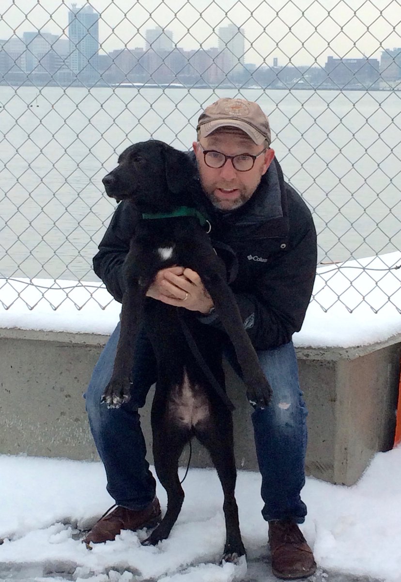 ackman_daniel's tweet photo. Never heard of National Black Dog Day before, but I am all in. #NationalBlackDogDay #BlackDogDay https://t.co/SipzO4FUif